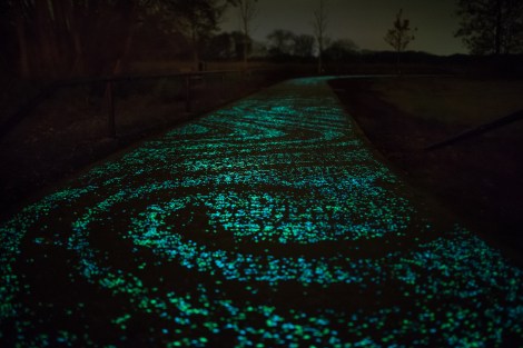 VanGoghRoosegaarde7
